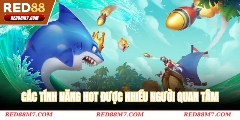 Các tính năng hot được nhiều người quan tâm