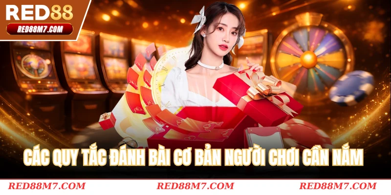 Các quy tắc đánh bài cơ bản người chơi cần nắm