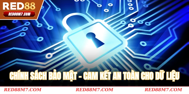 Chính sách bảo mật - Cam kết an toàn cho toàn bộ dữ liệu