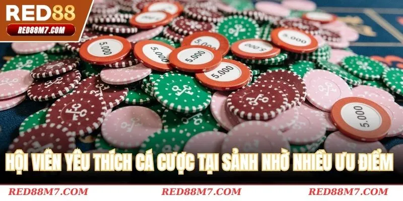 Hội viên yêu thích cá cược tại sảnh nhờ nhiều ưu điểm